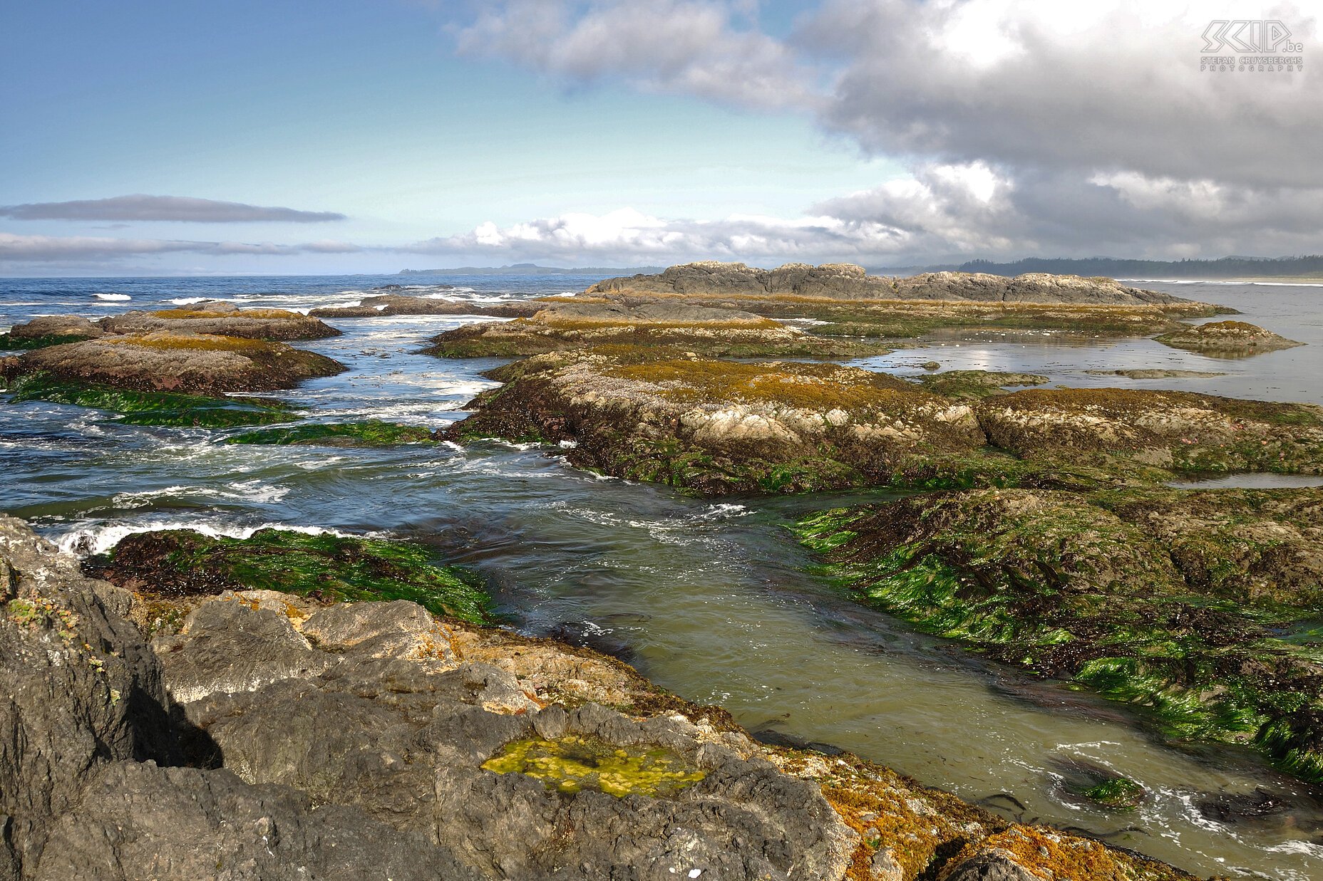 Pacific Rim NP - Wickaninnish Beach Pacific Rim NP is een ontzettend mooi nationaal park bestaande uit wijdse zandstranden met veel drijfhout, ruige rotskusten en indrukwekkend regenwoud. Stefan Cruysberghs